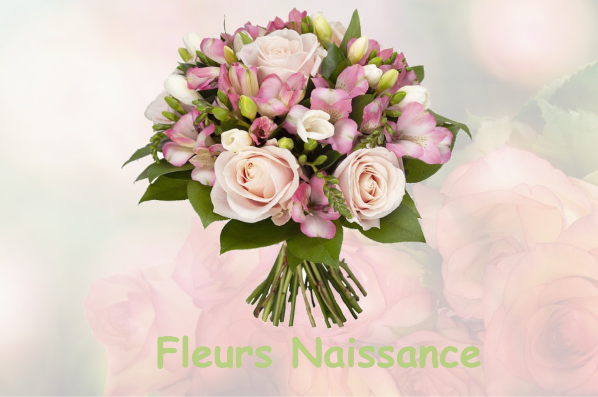 fleurs naissance CASTEL-SARRAZIN