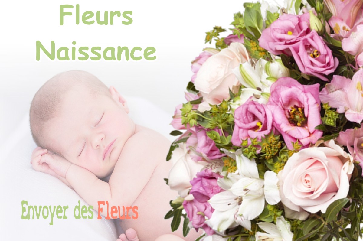 lIVRAISON FLEURS NAISSANCE à CASTEL-SARRAZIN